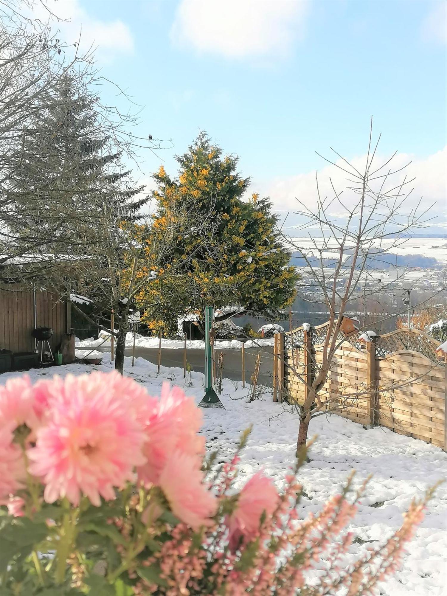 Cap Bonheur Hotell Saint-Cierges Rom bilde